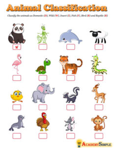 Animal Classification #2 - Academy Simple