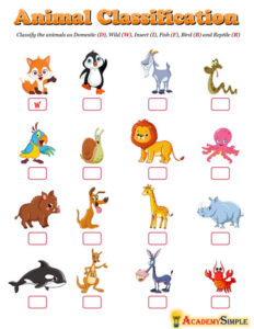 Animal Classification #3 - Academy Simple