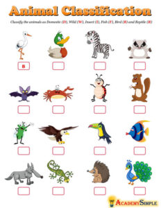 Animal Classification #4 - Academy Simple