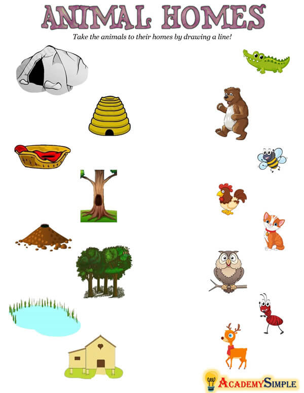 Animal Homes #2 - Academy Simple Animal Homes #2 - Academy Simple
