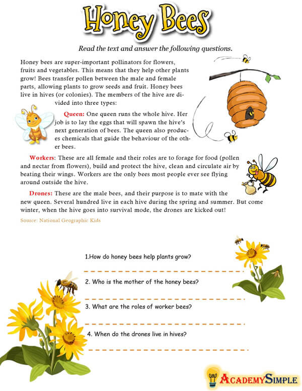 English, Reading Skills, Reading Comprehension Worksheet – Honey Bees ...