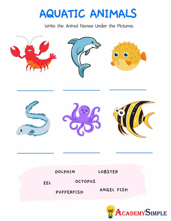 Animals Worksheet, Animal Classification -Name the Aquatic Animals #2 -  Academy Simple