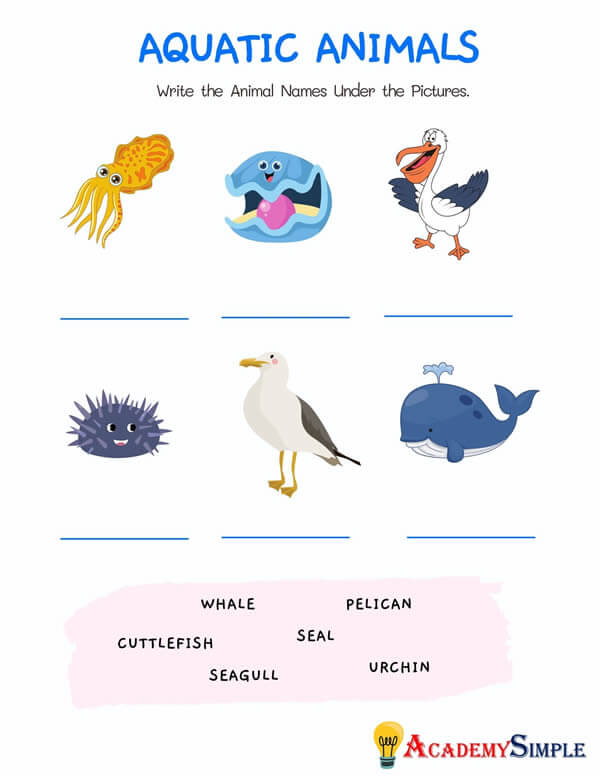 Animals Worksheet, Animal Classification -Name the Aquatic Animals #3 -  Academy Simple