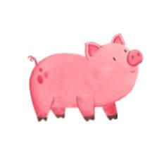 pink pig drawing