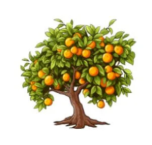 tree drawing full of oranges 