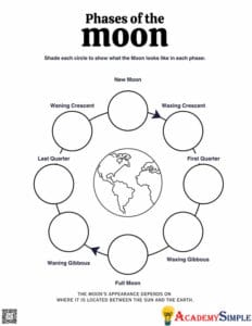 Phases of the Moon Worksheet (Free Printable PDF for Grade 2–5 ...